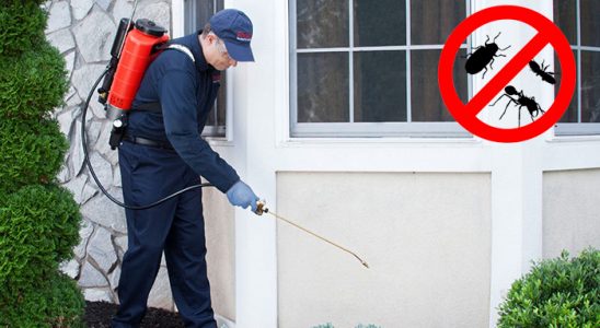 Karşıyaka Akrep İlaçlama böcek ilaçlama ve haşere kontrolü — ilaclama-tr.com